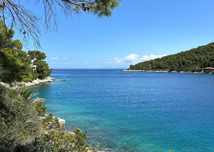 Seafront Vis