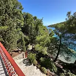 Seafront * Vis
