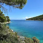 Seafront Vis
